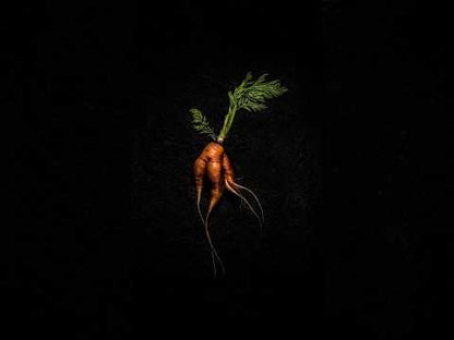 SoulFood Twisted Carrots by Adrian Kuipers (Wooden Framed)